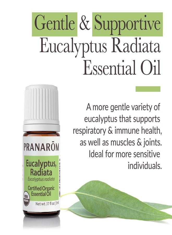 Pranarom - Eucalyptus Radiata Essential Oil 15ml - Moisturizing Skin - Supports Respiratory Health - Essential Oil for Diffuser - 100% Pure and Organic - Image 2